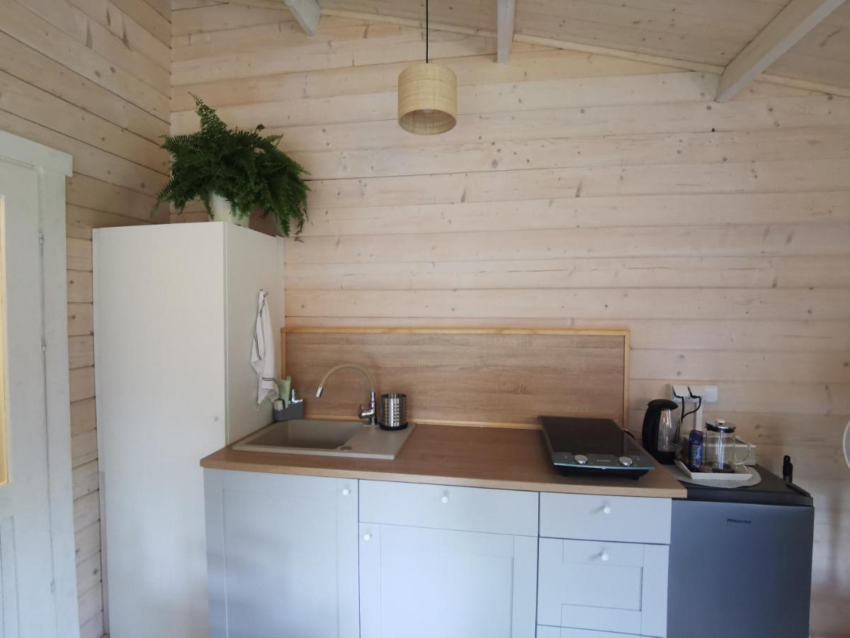 Domek Caloroczny Na Wylacznosc Niebieska Osada Nad Gorskim Potokiem Stary Waliszow Екстериор снимка