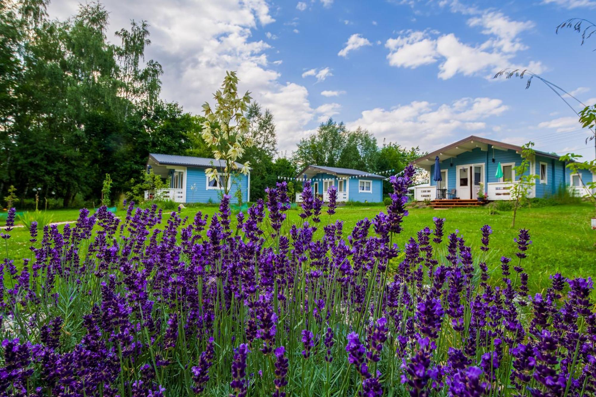 Domek Caloroczny Na Wylacznosc Niebieska Osada Nad Gorskim Potokiem Stary Waliszow Екстериор снимка
